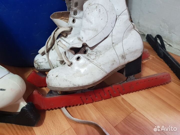 Фигурные коньки edea chorus 235