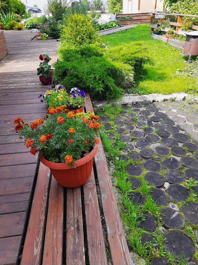 Дача 60 м² на участке 10 сот.