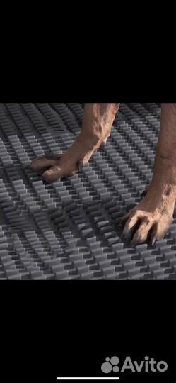 Лоток для собак