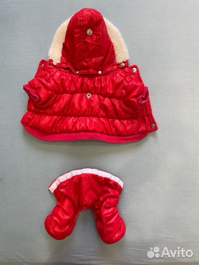 Одежда для маленьких собак