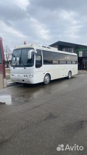 Заказной автобус