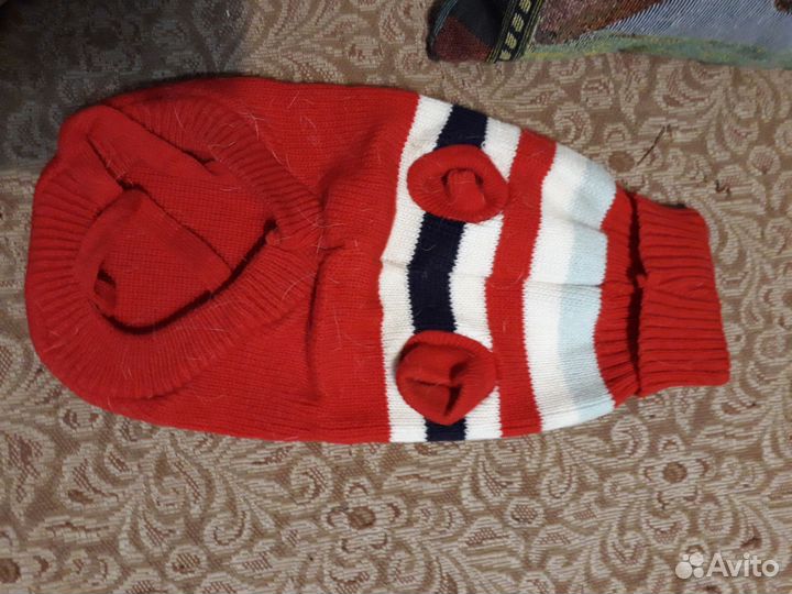 Одежда для маленькой собачки