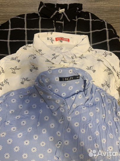 Женская одежда