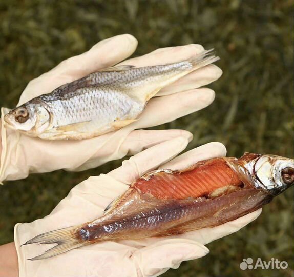 Астраханская вобла