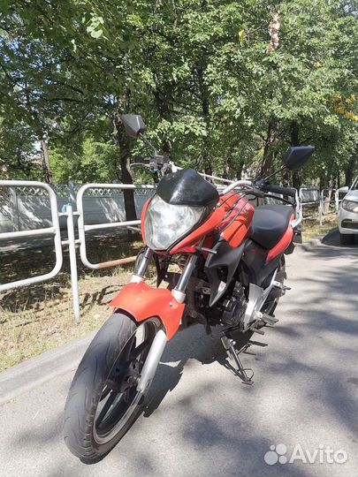 Stels flex 250