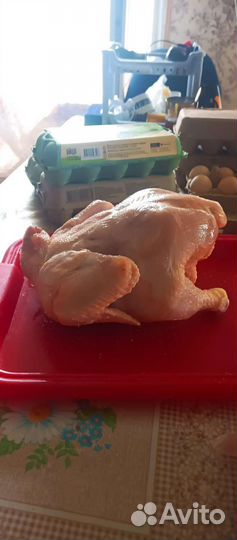 Мясо домашнего бройлера