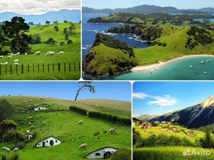 Виза в Новую Зеландию