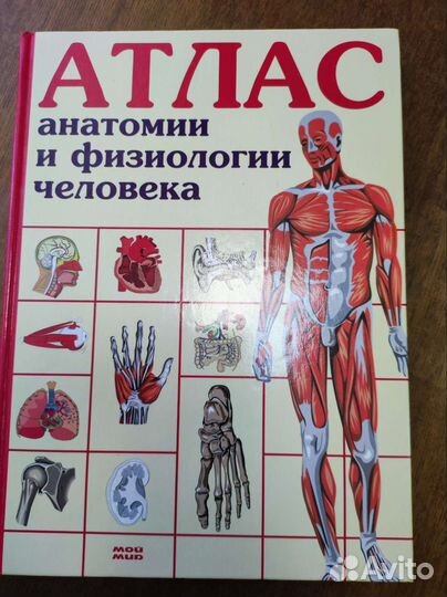 Атлас анатомии
