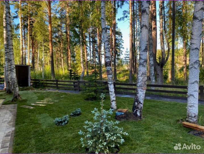 Рулонный газон для дома и дачи