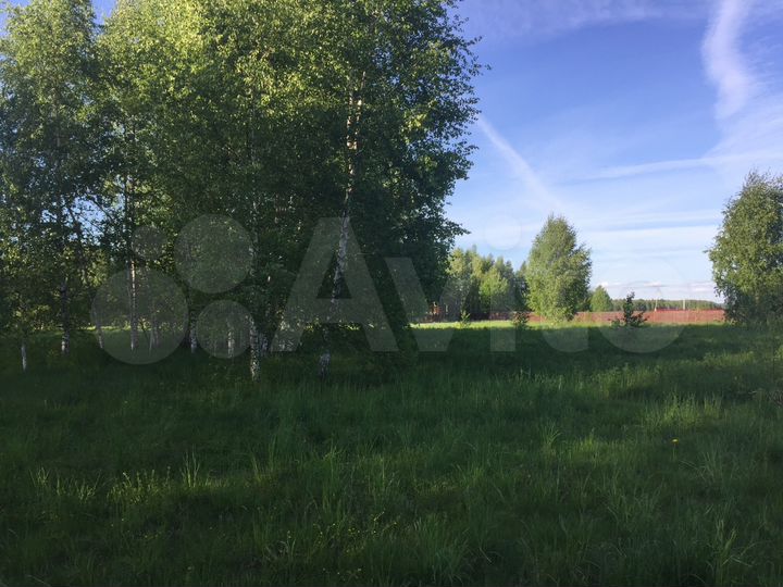 Участок 40 сот. (ИЖС)