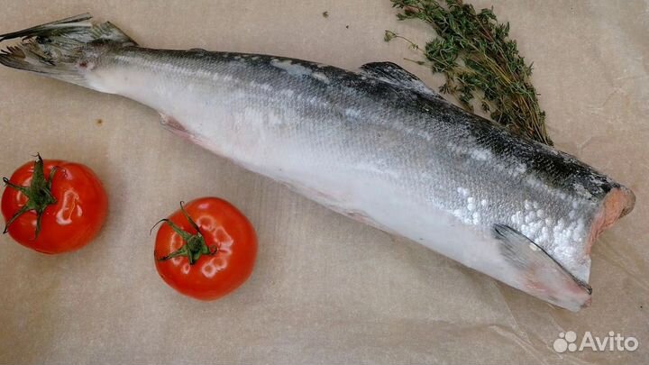 Кета пбг 2023г