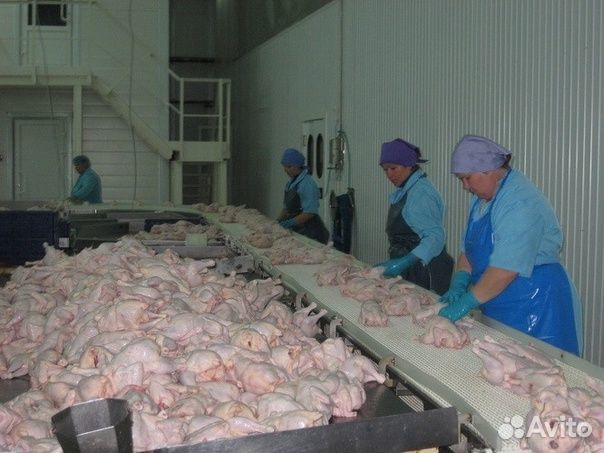 Разнорабочий вахтовым методом