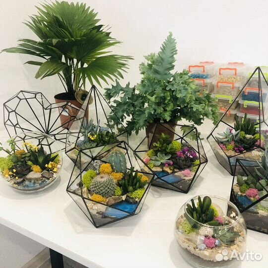 Флорариумы в наличии и на заказ