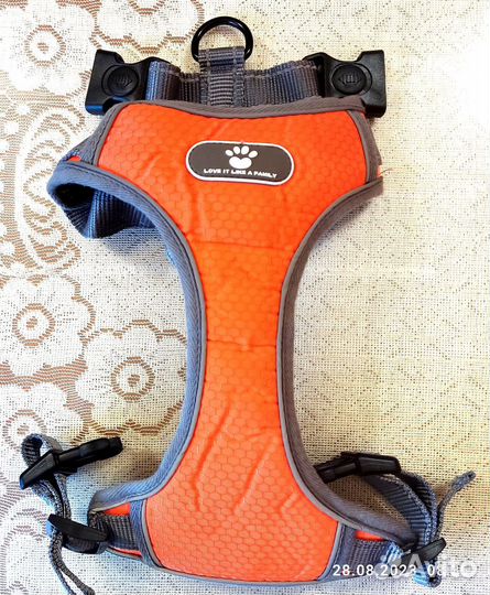 Ошейник, шлейка и намордник новые