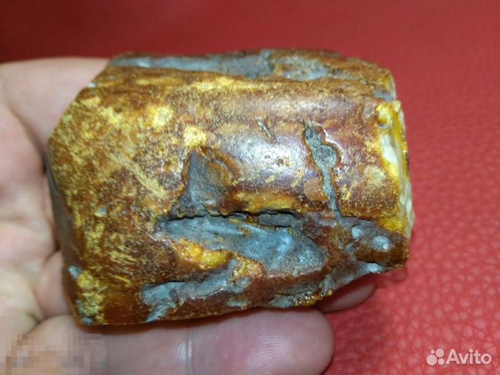 Балтийский Янтарь (Белый, Пейзаж)