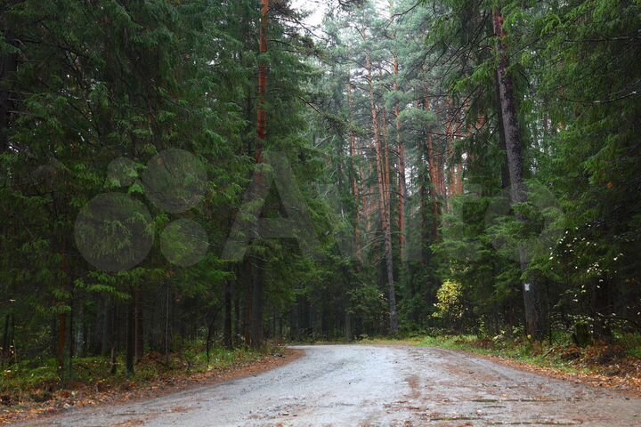 Участок 15 сот. (СНТ, ДНП)