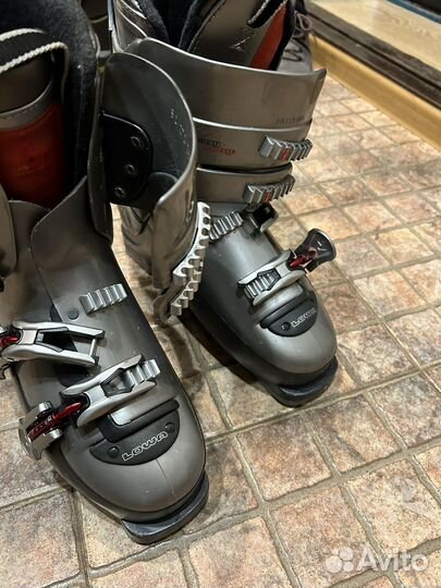 Горные лыжи