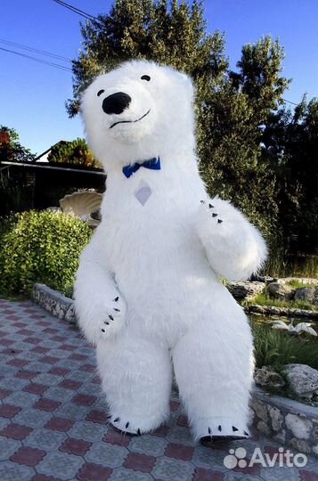 Поздравление от гигантского мишки 2.6метра и Тедди