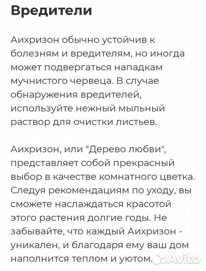Аихризон (дерево любви)