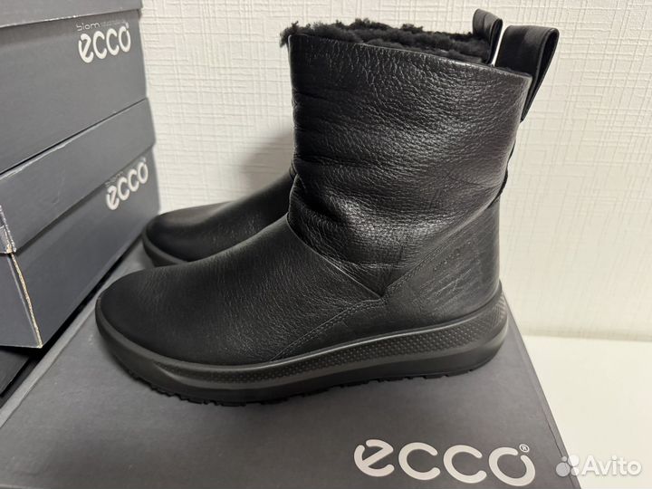 36 Сапоги зимние ecco