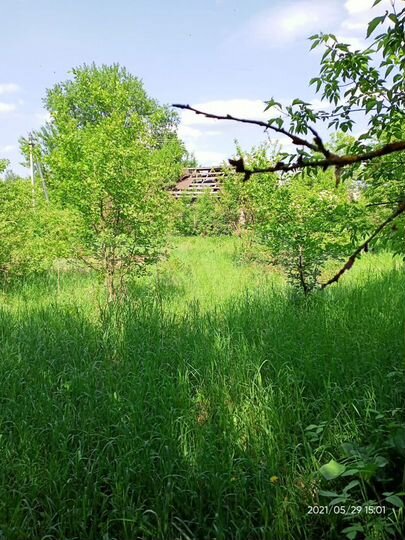 Участок 24 сот. (ИЖС)