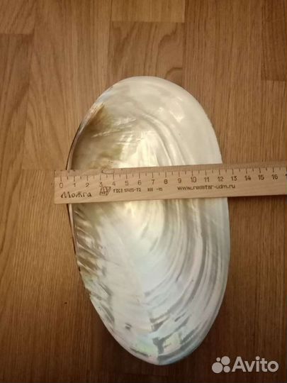 Натур. перламутровая створка - конфетница моллюска