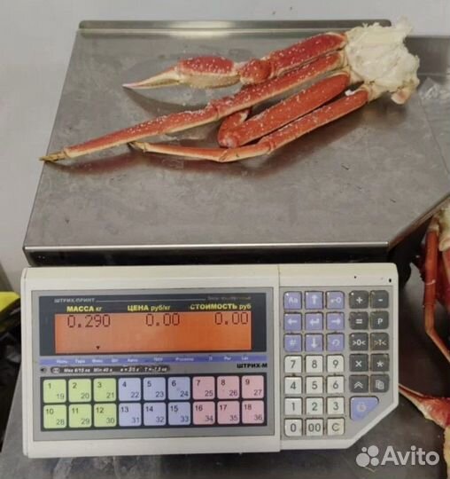 Краб стригун клешни