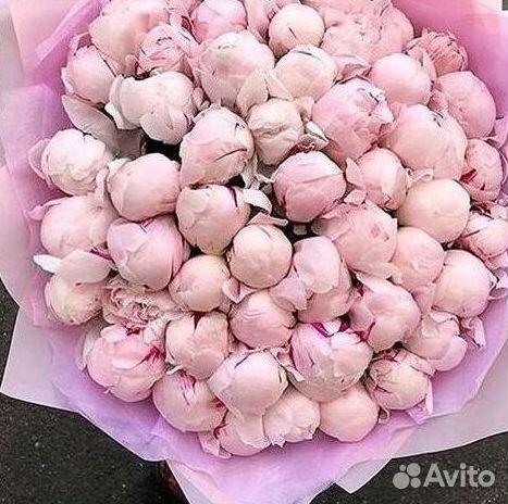 Пионы Букет пионов Доставка цветов