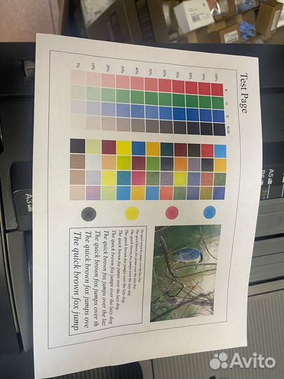 Мфу Konica Minolta bizhub C220 цветной