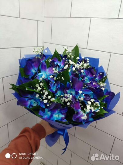 Букеты цветы корзины гипсофила розы