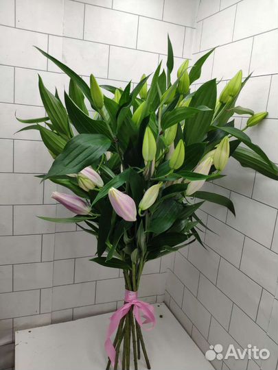 Роза хутор красная поляна букеты розы