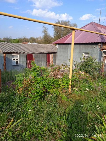 Дом 24,4 м² на участке 12 сот.