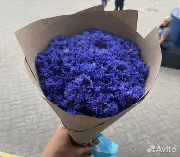 Васильки букет 51 75 101 размеры/Цветы с доставкой