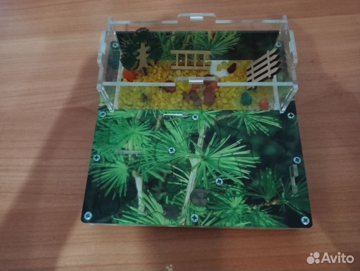 Муравьиная ферма