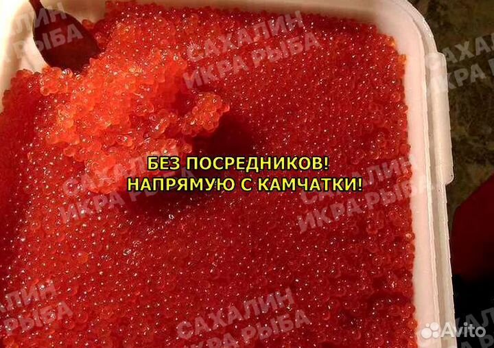 Красная икра горбуши