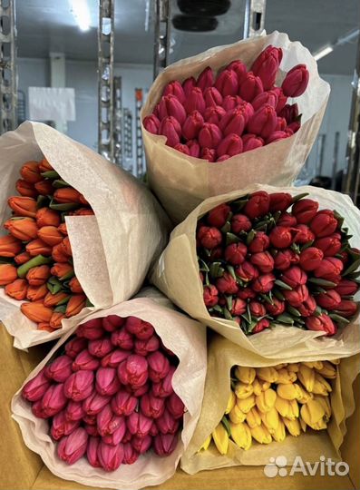 Цветы букеты с доставкой,тюльпаны,8 марта