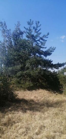 Участок 10 сот. (СНТ, ДНП)