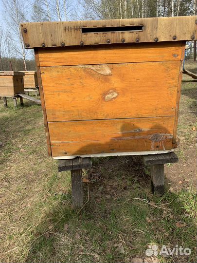 Улей для пчел