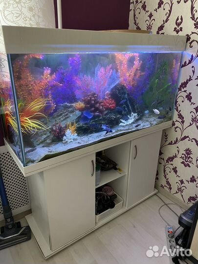 Аквариум с оборудованием