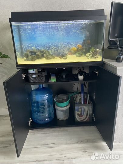 Аквариум с тумбой juwel