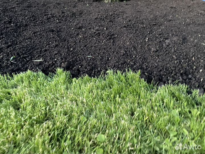 Чернозем Рязанский