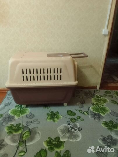 Переноска для крупных собак