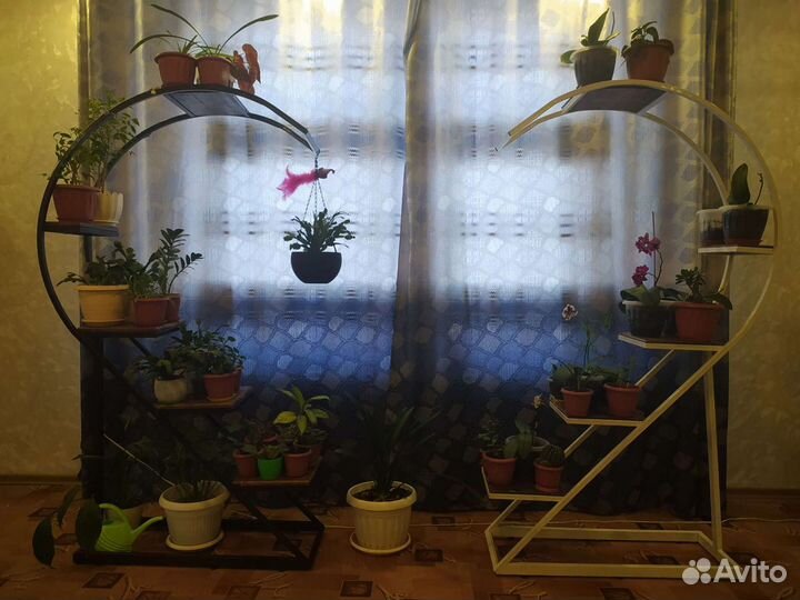 Полка для цветов