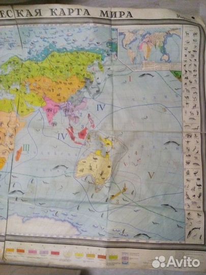 Зоогеографическая карта мира