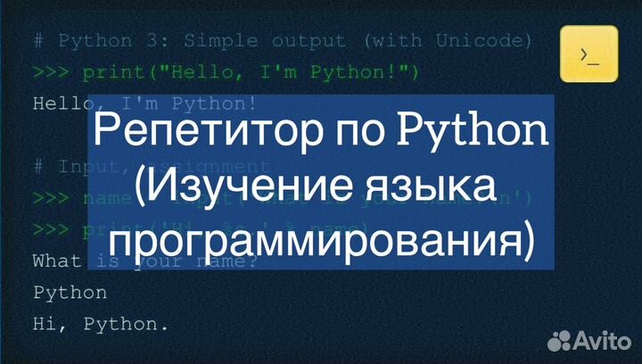 Репетитор по программированию python