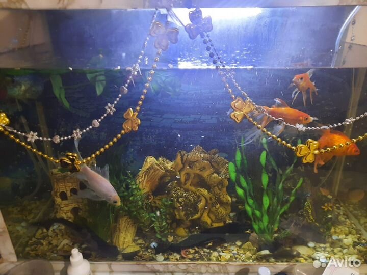 Украшение для аквариума