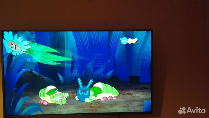 Телевизор starwind