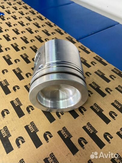 Поршень Cummins 6BT EQB