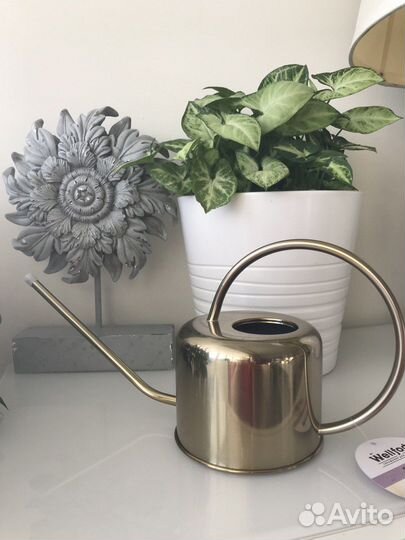 Лейка лля цветов