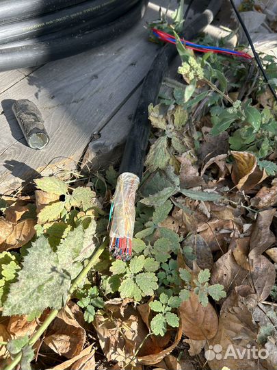 Кабель телефонный тпп 100x2x0,5